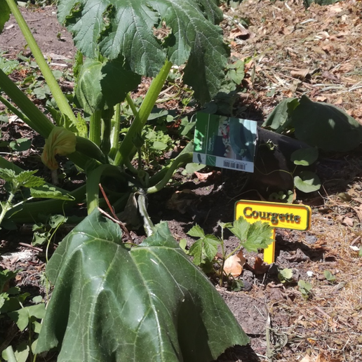 Capture d’écran 2018-04-24 à 14.45.56.png Vegetable garden panels by Dagoma